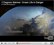 Ocean Life in Danger