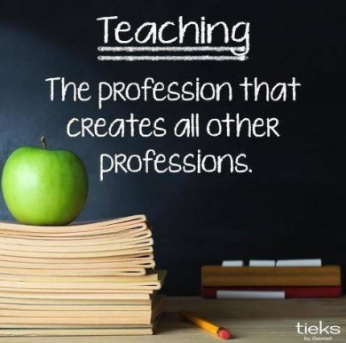 Teaching the profession that...