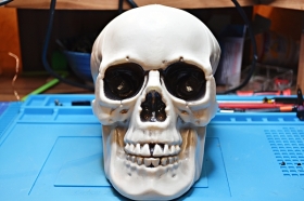 21 cm plastic Skull front view