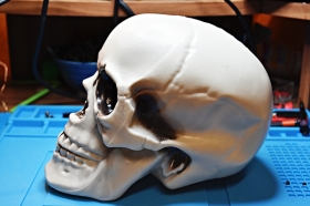 21 cm plastic Skull side view